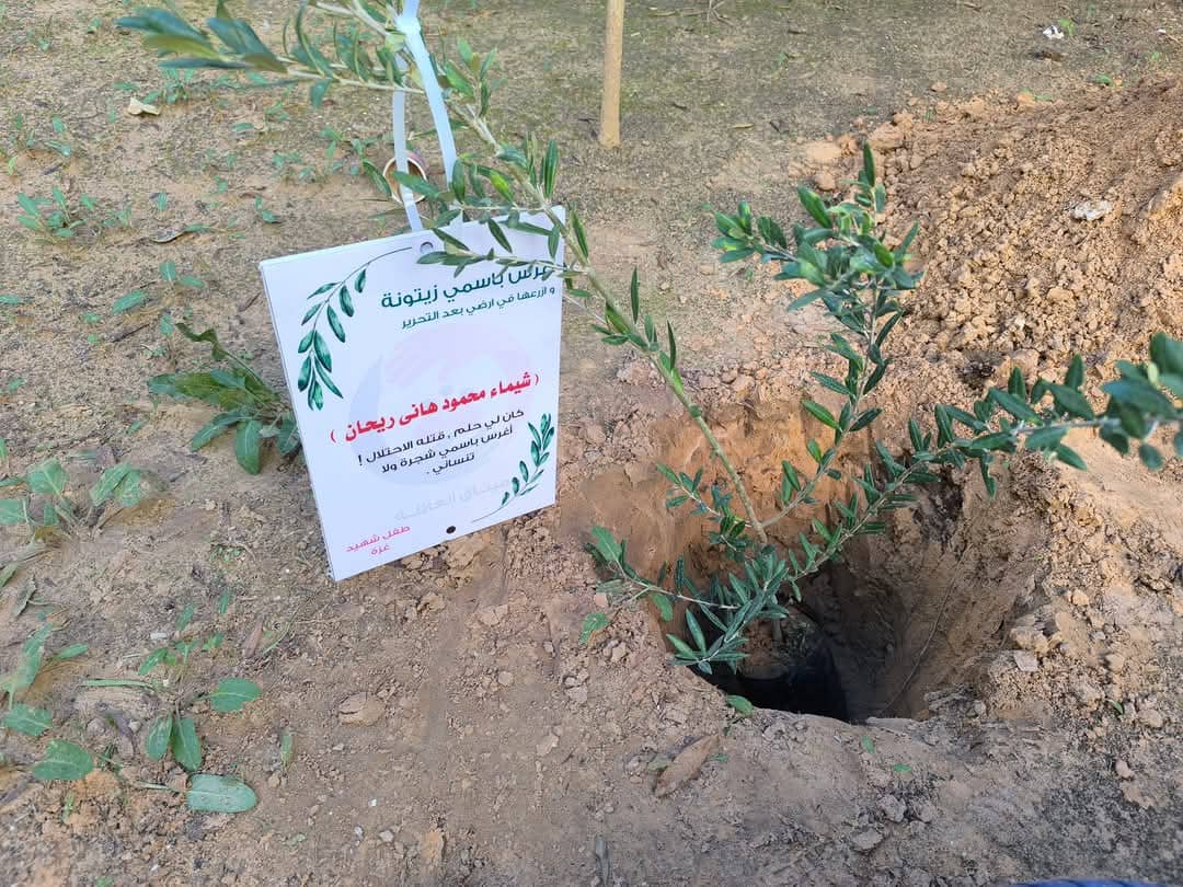 صورة من المعرض